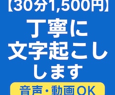 格安で文字起こし / 音声を丁寧にテキスト化します イメージ1