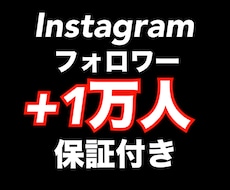 Instagramフォロワー＋1万人以上増やします イメージ1