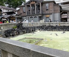 この世の中信用出来ない、悩み持っている方聞きます 男女、年齢問いません。まず悩みを聞かせて下さい！