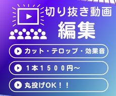 切り抜き　あなたの動画切り抜きます イメージ1