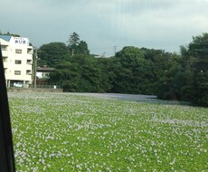 サクッと10分！悩み★相談★にのります 今すぐ話を聞いてほしいけど話す人がいない…という方へ