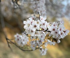 たくさんのお話を聞きます イメージ1