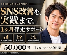 SNS改善を実践まで1ヶ月サポートしますます イメージ1
