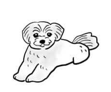 うちの子を感じるゆるかわイラストを描きます イメージ1