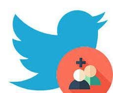 Twitterフォロワー+100～拡散支援します +100人から最大+5000人まで拡散可能です❕