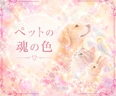 あなたとペットさんの魂の絆を読み解きます 出会った意味、愛、想いを、魂の色彩から丁寧に紐解きます。