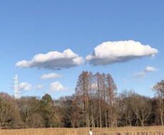 恋愛、仕事、人生、子育て、病気などなんでも聞きます イメージ1