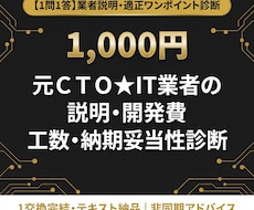 元ＣＴＯ★IT業者の説明・開発費を診断します イメージ1
