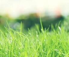 る、ます イメージ1