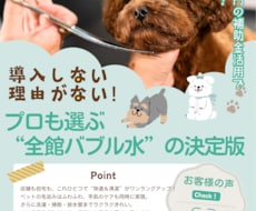 サロン向けチラシ作成します イメージ1