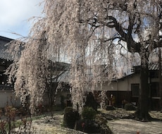 京都移住・相談・お手伝いします イメージ1