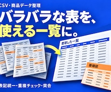 CSV・商品データを整理・突合します 表記を整え、重複・空欄は確認しやすい一覧に
