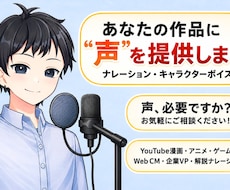 キャラボイスから解説まで幅広く提供します イメージ1