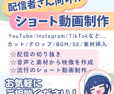 配信者・VTuber向け｜ショート動画を制作します イメージ1