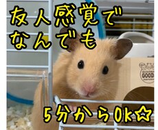 ピアヘルパー資格有。コロナ疲れ、様々なお話聴きます イメージ1