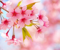 恋愛相談にのります イメージ1