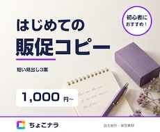商品やサービスのキャッチコピーを3案考えます 確定情報から短い見出し3案。初めてでも相談を