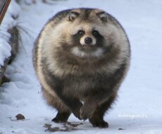 今日あったこと話したいこと悩み相談なんでも聞きます イメージ1