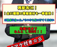 再配布OK！全95種類のノウハウを伝授します 95種類からあなたに合うノウハウを探し実践してみてください
