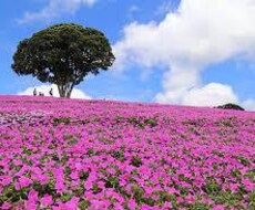 仕事がしんどい先生いませんか？私メンターになります イメージ1