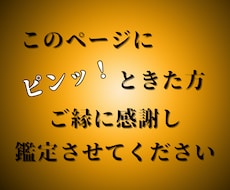 私のコーナーにピンと来た！という方　鑑定いたします めぐり逢えたご縁に感謝し寄り添った鑑定をいたします