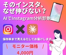 AIでInstagram分析診断レポート作成します イメージ1