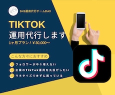 TikTok【1ヶ月】運用代行します SNS実績あるチームが対応！2023年度の販売実績200件超