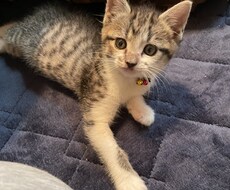 愚痴を吐き出したい方お待ちしております イメージ1