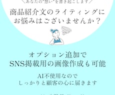 商品のセールスコピー考えます どんな業界の商品でも心を込めて取り組みます