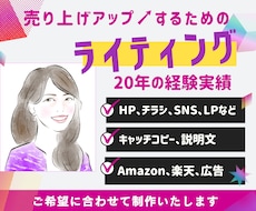 売れる！商品のキャッチコピー＆説明文をご提供します 大切なのは“魅せ方“！文書で価値を伝えれば商品は動き出します