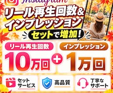 インスタ リール再生数10万インプ1万増やします イメージ1