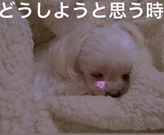 どうしようと思うとき。大丈夫！まず聞きます 71才の経験を生かしどんな人にも喜びを与えたい