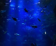 ネガティブ→全てポジティブに変換させます イメージ1