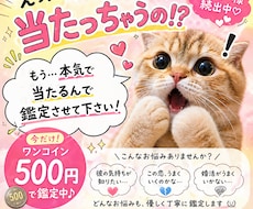 他で実績あり鑑定いたします 当たるのでとりあえず鑑定させて下さい！！