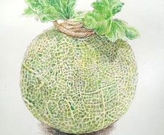 リアルな、色鮮やかなイラストお描きします イメージ1