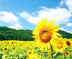 素朴にお話します イメージ1