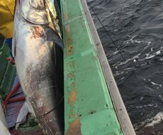 漁業や漁師、海産物等の気になる質問にお答えします イメージ1