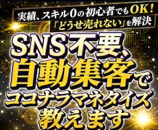 SNS不要、自動集客でココナラマネタイズ教えます イメージ1