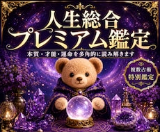あなたの人生全体をプレミアム鑑定します イメージ1