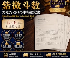 紫微斗数であなたの人生を占います イメージ1