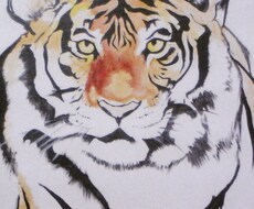 動物の写真でキャンバスなどに描きます。 イメージ1