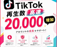 TikTokの再生回数2万回増やします イメージ1