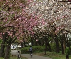 【お子さんを解放してあげよう】より良い関係づくりのために、するべきこと、するべきでないこと