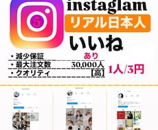インスタのリアル日本人いいねを増やします イメージ1
