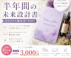 あなた専用の半年鑑定書を作成します イメージ1