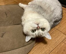 女性限定☆恋愛相談承ります イメージ1