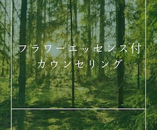 フラワーエッセンスセッションで変容を促します あなたの輝きを取り戻し、日々を軽やかに生きるサポートをします