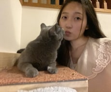しょしんしゃ　の　にほんごを　おしえます イメージ1