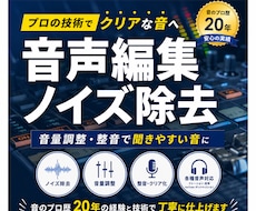 PA歴20年｜音声を聞きやすく自然に整えます ノイズ除去と音量調整で聞きやすく調整します