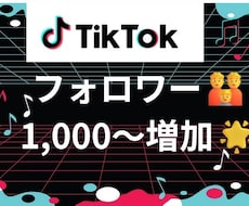 TikTokフォロワー1000人以上増やします TikTokのプロがフォロワー増加を支援します♪